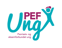 Bilde: PEF-ung organisasjon