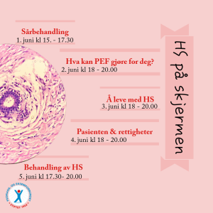 Bilde: HS på skjermen