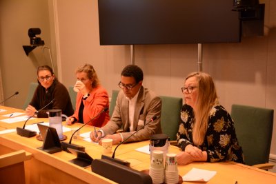 Bilde: På høring på Stortinget