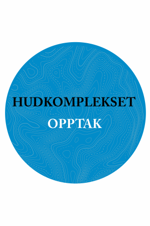 Bilde: 2024 Opptak av Hudkomplekset